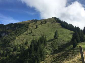Nüenchamm
